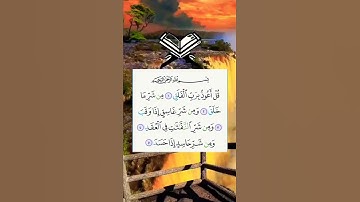 قل أعوذ برب الفلق 💚⚘حالات واتس اب قرآن كريم بصوت جميل جدا Quran Status ⚘