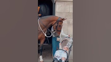 Others with kings guard horse, But with the kids in last video😨 #respect #aura #shorts