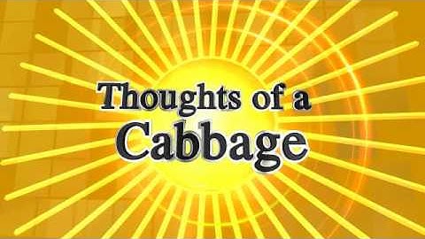 randomville #1  uploaded from FliXpress.com