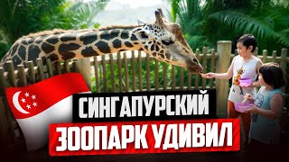 Лучший зоопарк в Мире. Что посмотреть в Singapore Zoo?