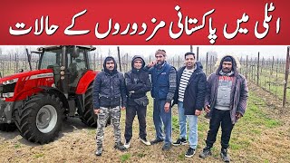 Pakistani worker life in Italy | Agriculture jobs Monthly income | seasonal visa job