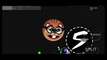 Epic Blob.io Edit (Wing Blob)