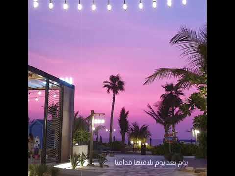 قادرين يا دنيا نعيش و احلامنايوم بعد يوم نلاقيها قدامناصابرين اوي و راضيين مدحت صالح حلات وتس