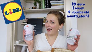 Voor 10 euro mijn weekboodschappen bij LIDL! | vegan on a budget #6|