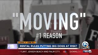 Apartment lease pet restrictions might be one reason many animal shelters are at capacity Apartment lease pet restrictions might be one reason many animal shelters are at capacity