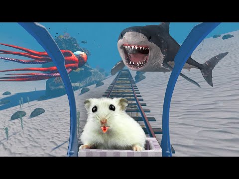 Hamster in Roller Coaster in the Ocean With Shark 🦈 + Bonus Maze