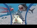Hamster in roller coaster in the ocean with shark   bonus maze