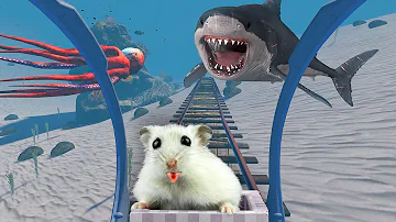 Hamster in Roller Coaster in the Ocean With Shark 🦈 + Bonus Maze