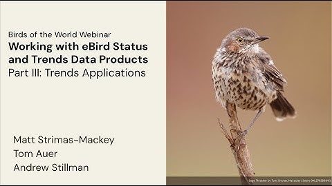 Working with eBird Status and Trends data products. Part III: Trends applications.