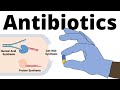 Antibiotics Uncovered: Mechanisms, Discoveries, and Resistance