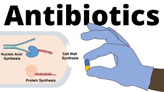 Antibiotics  Mechanisms of Action (Classification) and Antibiotic Resistance