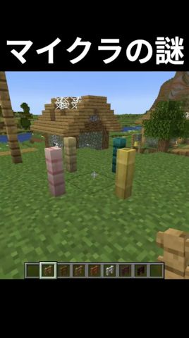 色々謎すぎる🤔#マイクラ #minecraft