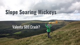Slope Soaring Gliders on Mickeys | Valenta SB9 crash!