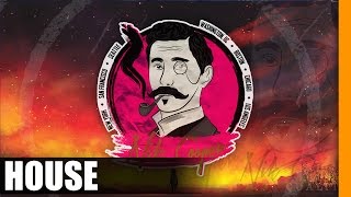 Tom Swoon, Belle Humble & DANK - Phoenix (We Rise)
