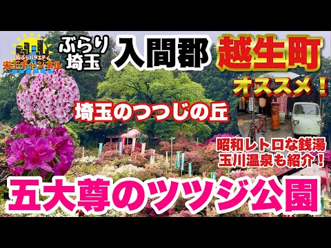 【ぶらり.埼玉.花】埼玉のつつじの楽園 越生町五大尊のつつじ公園に行ってみた！and昭和レトロな銭湯を紹介！
