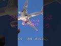 #浜田省吾 #ハッピーバースデーソング#恋する気分#フルバージョンはコメント欄より