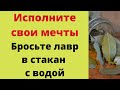 Исполните свои мечты. Бросьте лавровый лист в стакан с водой.