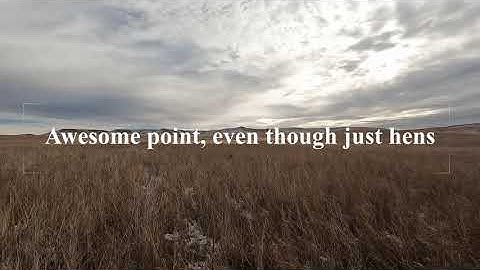 Great Pheasant point in Montana