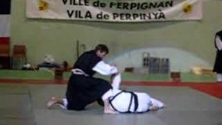 Shorinji Kempo 66 Démonstration Perpignan