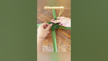 Cách làm lồng đèn bằng lá dừa siêu đơn giản #shorts #youtubeshorts #coconut #longden #diy #craft