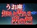 【魚座♓不可能を可能に】重圧から解放され、リセットしてください【12星座占い】