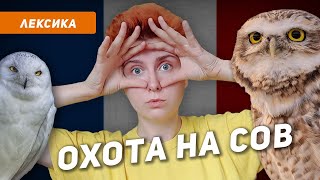 Слова, которые ЗВУЧАТ СМЕШНО для русскоговорящих. ОХОТА НА СОВ на французском