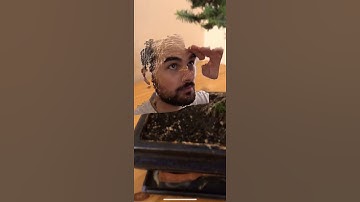 Record3D iOS App — Record 3D Videos, show them in AR & Stream Point Clouds via USB cable!