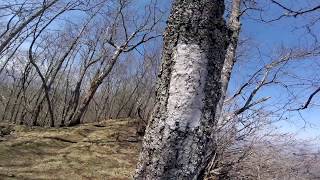 Smoky Mountains Spring Break 2018 w/ Indiana University Outdoors Adventures.