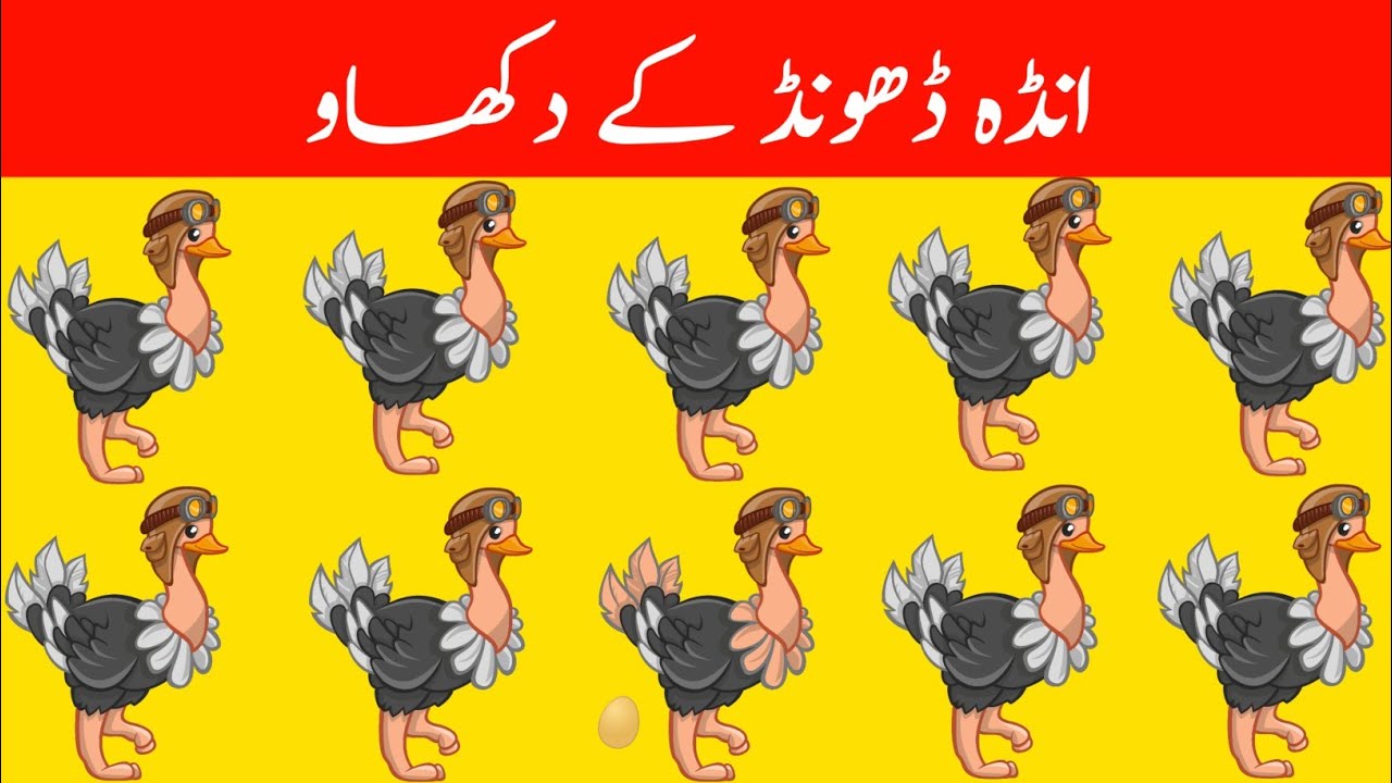 New Mind Puzzles And Mix Riddles in Urdu That'll Make Your Brain Sweat ...