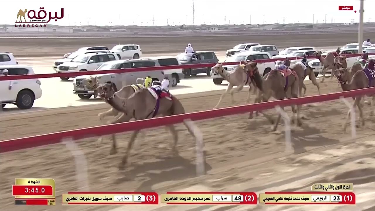 ش4 ابلج لـ محمد حمد سعيد بن مشيط المري (جائزة زايد الكبرى 24-11-2025م) شداد القعدان إنتاج 5:46:49