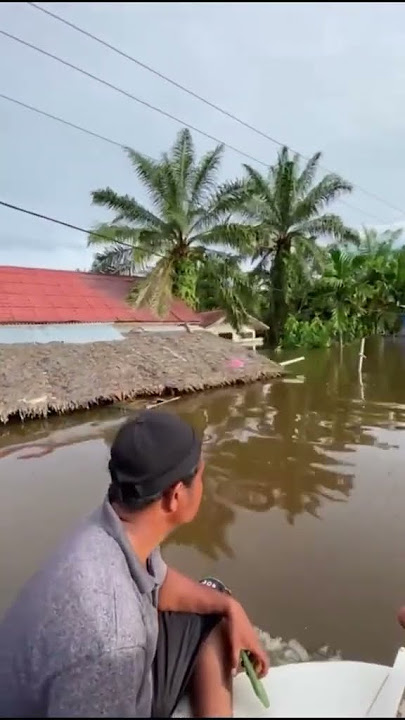 Banjir di desa cot bayu,trumon tengah#banjir #bencanaalam