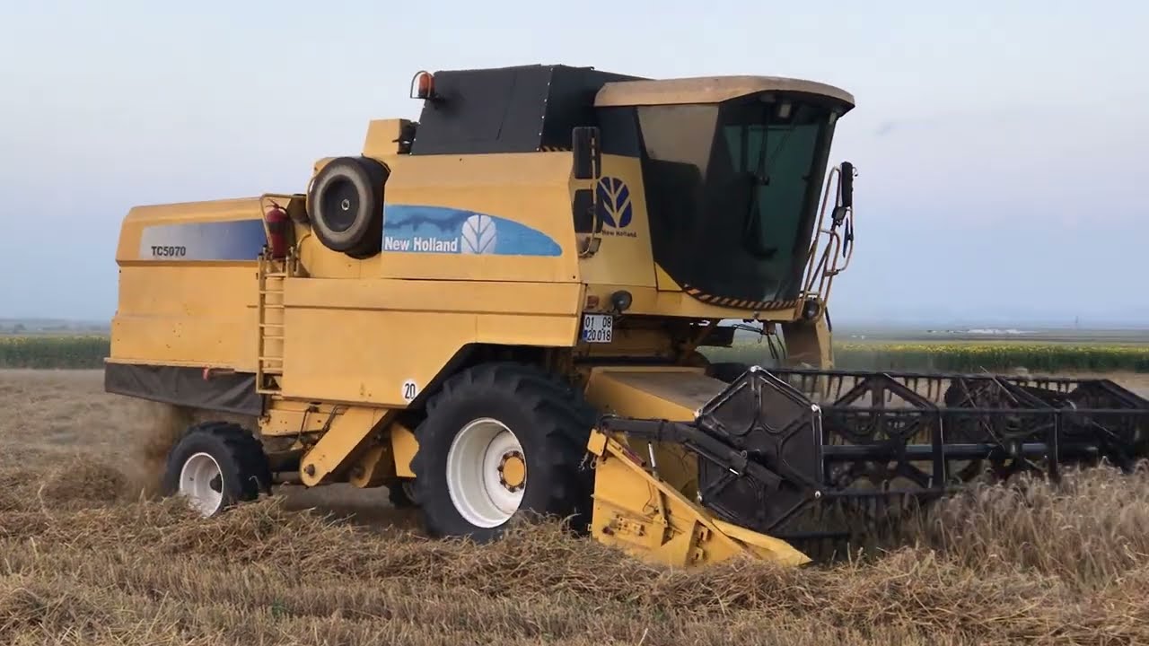 TC56 TC5070 biçerdöver buğday hasadı