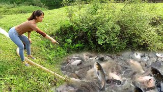 Videos fishing: Fishing techniques, pumping water outside the natural lake, Harvesting a lot of fish