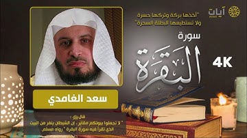 سورة البقرة كاملة سعد الغامدي - قراءة هادئة  ماشاء الله Sourat Al Baqara - Saad Al Ghamidi