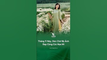 Tháng 11 Này, Cùng Đón Chờ Bộ Ảnh Đẹp cùng Cúc Họa Mi #cộngstudio #chupanhaodai #cuchoami