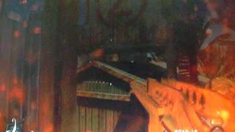 Call of Duty Black Ops- Firing Range Glitch- line of sight