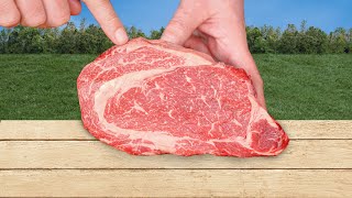 Ultimate Steak Showdown: Reversed Sear Grilled Steak vs. BBQ Competition-Style Steak Which is Best?