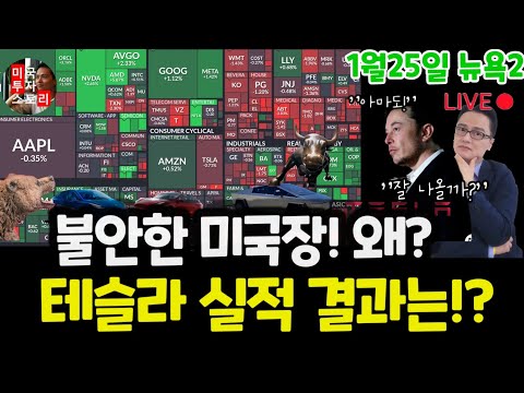 미국주식시황/오늘 왜 불안했나? 테슬라 4분기 실적결과 분석?/엔비디아 구글 애플 아마존 메타 마이크로소프트 리비안 소파이 팔란티어 아이온큐등 $tsla #tesla #tlt