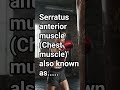 another name of serratus anterior muscle🤔 #nursingnotes #quicklearning