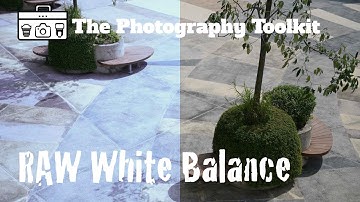RAW vs Jpeg - Why RAW is Better for White Balance
