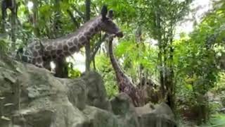 Nitogipa Bi.aprang Beautiful Place Romika Marak