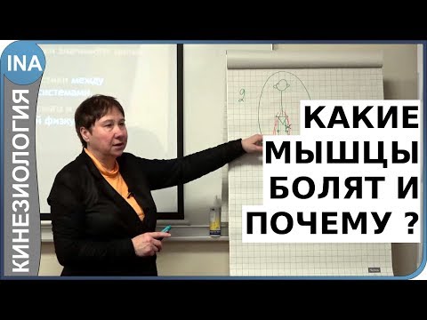 Видео: Как кученцата показват обич