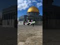 حضر اليسوع محمد أجمل فيديوا عن فلسطين حالات واتس آب