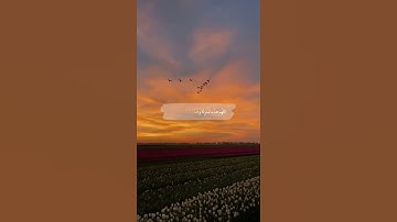 قرآن || سورة الحجر آيه (46)