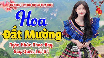 LK Nhạc Tây Bắc REMIX 2024 | HOA ĐẤT MƯỜNG | Nghe Khúc Nhạc Hay Đất Trời Cũng Say | BASS Cực Bay