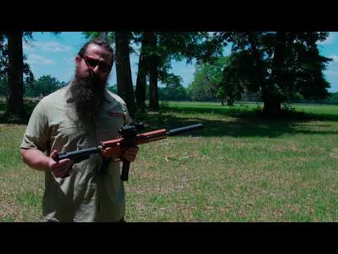 PAINTWERKZ PIMP AR9