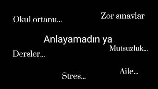 Ama Onlar Anladı Mrs.ellie Açıklama