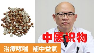 芡實的功效與作用【保健養生】生生不息