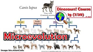 Microevolution: How does a Species evolve? (1g - 7/39)