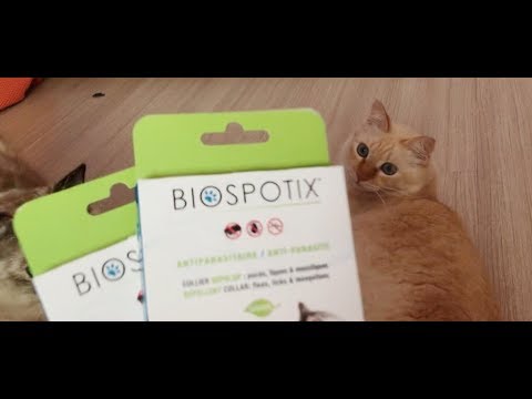 EPISODE 8 : HOW TO WEAR TICK COLLAR ( BIOSPOTIX)